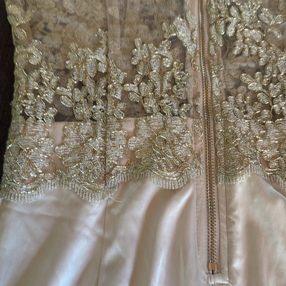 Luxxel Champagne Sheer Lace Satin Bodycon Mini Dress - Picture 6 of 11